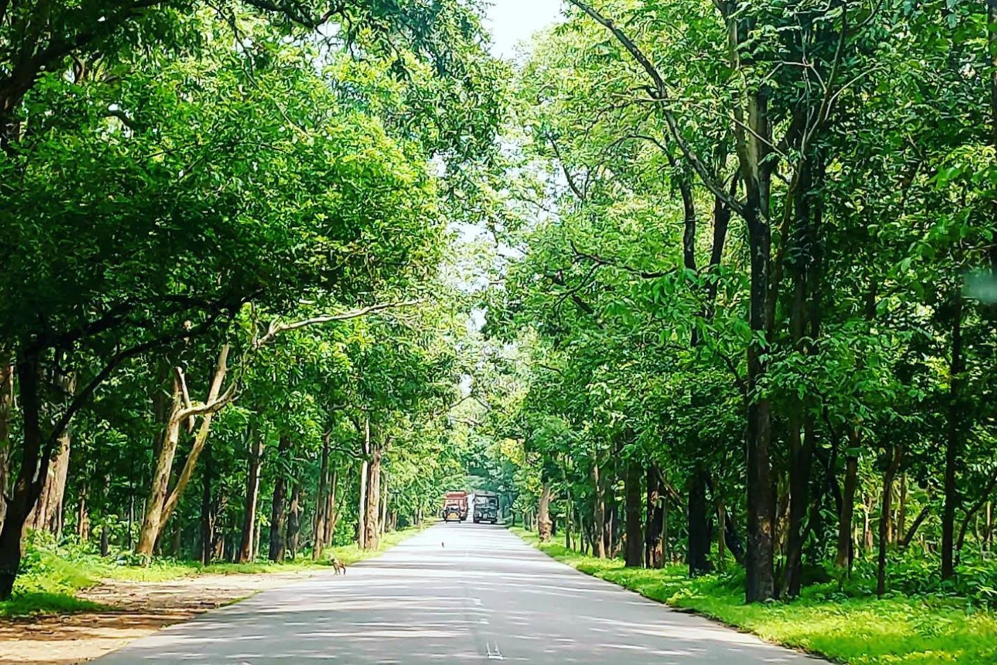 Eturnagaram Wildlife Sanctuary Warangal