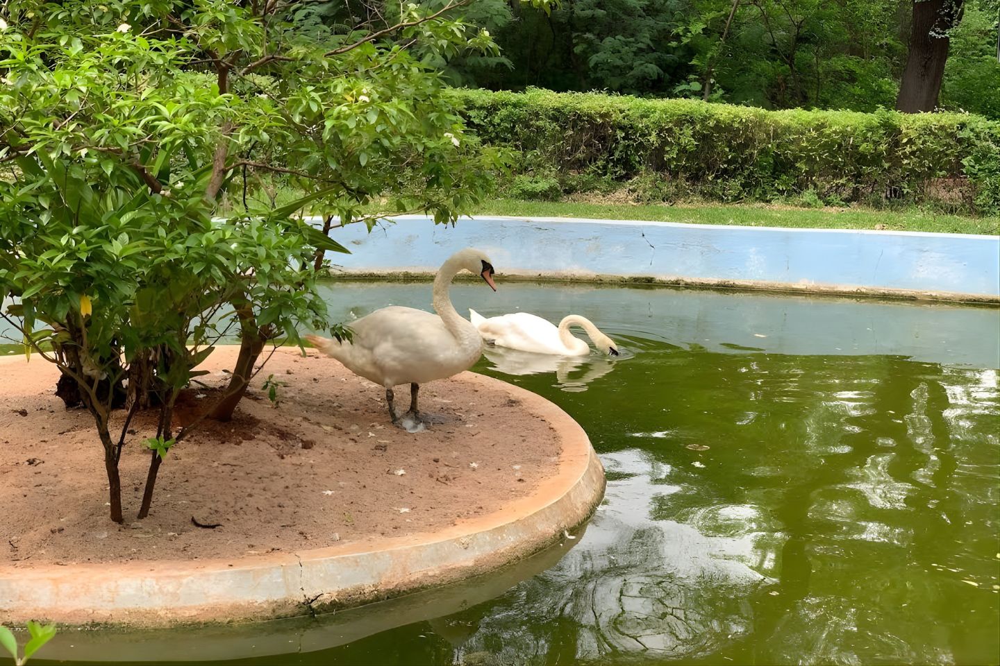 Kakatiya Zoological Park